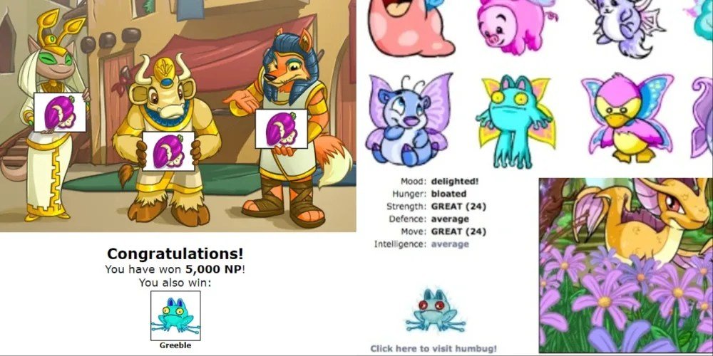 Sharing Petpets: Platforms & Best Practices For Ethical Pet Storytelling